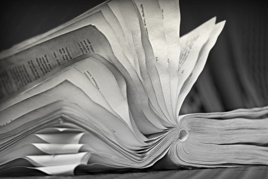 ein vergessenes Buch auf einer Parkbank