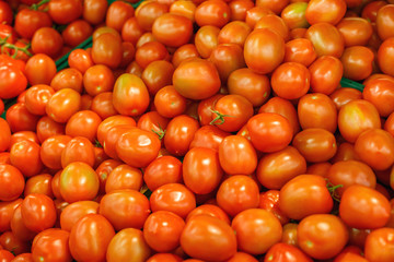 tomatoes on the market