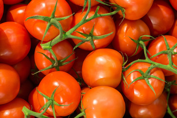 tomatoes on the market