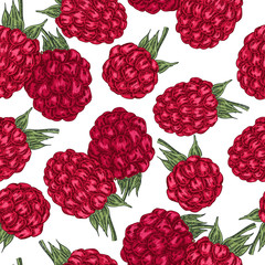 Hand drawn sketchy berries. Ripe raspberry branch isolated on white. Seamless pattern vintage. Vector illustration