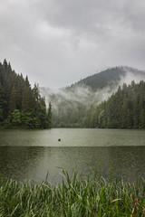 Mountain lake scenery, Lacu Rosu or Red lake in cloudy, rain weather, Eastern Carpathians, Romania, nature landscape background