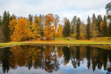 Red and orange autumn foliage reflected in the clear water of the pond.