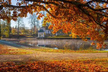 Bright colorful view of fall foliage in a park with a pond and rotunda. Golden tree at the foreground