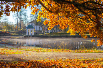 Obraz premium Bright colorful view of fall foliage in a park with a pond and rotunda. Golden tree at the foreground