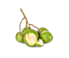 Elaeocarpus hygrophilus on white background