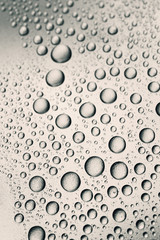 Water drops on a surface