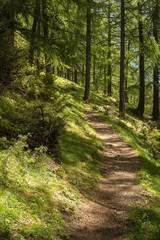 Obraz premium Meraner Höhenweg, Schnalstal, Südtirol, Italien