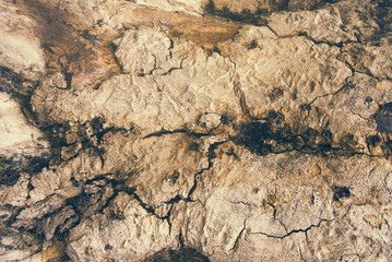 wood crack wall grunge texture background