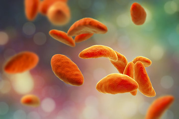 Fototapeta premium Parasitic protozoans Toxoplasma gondii which cause toxoplasmosis in tachyzoite stage, 3D illustration