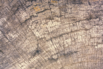 wood crack wall grunge texture background