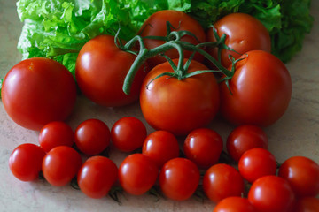 Large and small red tomatoes along with lettuce leaves.
