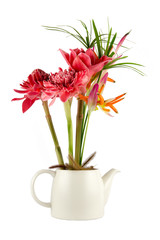 red torch ginger and bird of paradise isolated on white background.