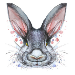 Painted drawing with watercolor portrait of an animal mammal rabbit hare in bed colors on a white background with splashes and divorces for a pattern, design and decor, print