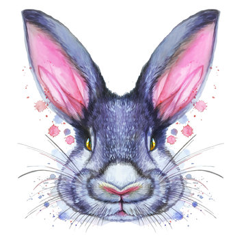 Painted drawing with watercolor portrait of an animal mammal rabbit hare in bright colors on a white background with splashes and divorces for pattern, design and decor, print