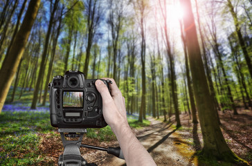 Fototapete bei efototapeten.de bestellen   