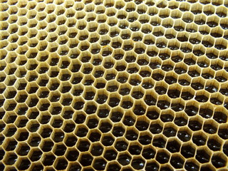 Dark honeycomb with honey texture