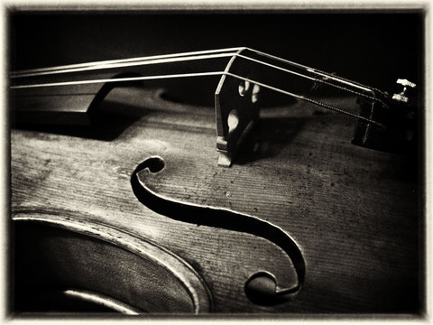 Violine