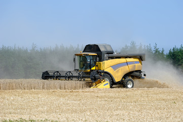 Combine harvests wheat on a field in sunny summer day