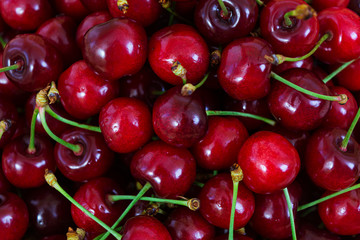 Background of tasty sweet cherry
