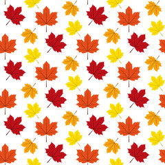 Autumn maple leafs pattern.