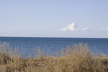 Meerblick mit Himmel und Pflanzen auf der Düne