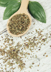 Fresh and dried basil plant for healthy cooking, herbs and spices.