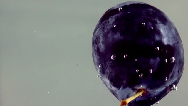 Violet Blue Plum Falling Into Water. Blue Plum Drops Under Water on White Background. Fresh Violet Plum Fruit Plunging And Splashes Water. Water Air Bubbles