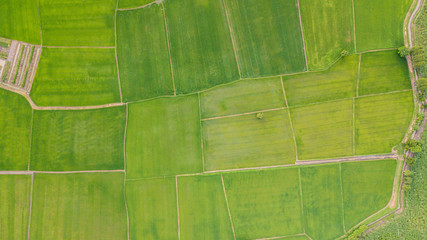 Background of Fields with various types of agriculture in rural Thailand