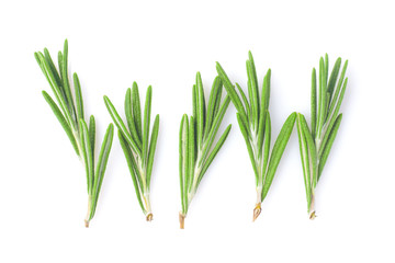 Fresh rosemary on a white background