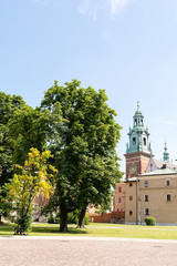 Naklejka premium Cathedral on Castle Wawel in Krakow (Poland)