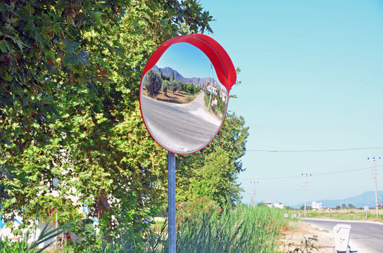 Convex mirror with the road and green fields reflected with plants behind