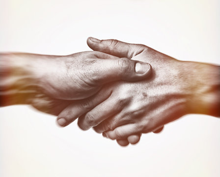 A firm handshake between the two partners. Black and white image on white  background.