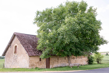 Scheune mit Baum