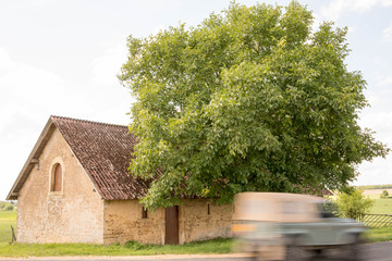 Scheune mit Gel&auml;ndewagen und Baum