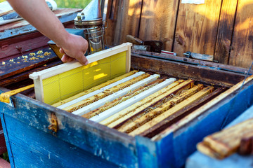 New honeycomb frame insert into the hive
