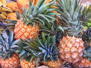 Pile of pineapples as a background