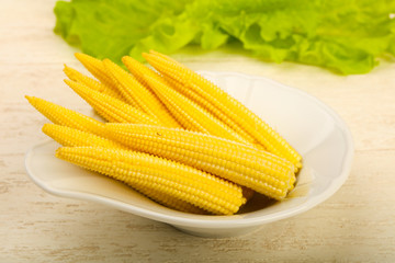 Young baby corn