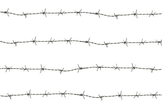Barbed wire isolate on white background with clipping path for graphic designer, fence and home garden protection.