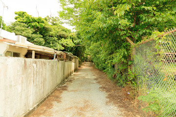 この先には何があるかな？