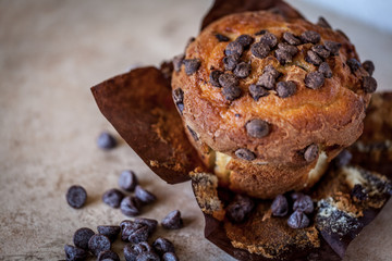 Chocolate chip muffin on a brown background
