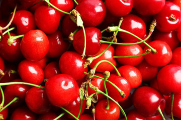 Fresh ripe cherries, closeup
