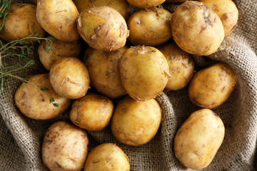 Raw organic potato on sackcloth