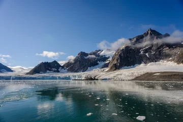 Gordijnen Arctic landscape © Alexey Seafarer