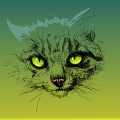 cat3. Vector illustration.