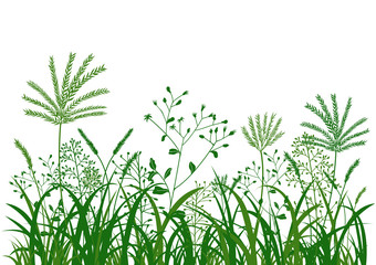 Fototapeta premium green grass flower background illustration, nature vector