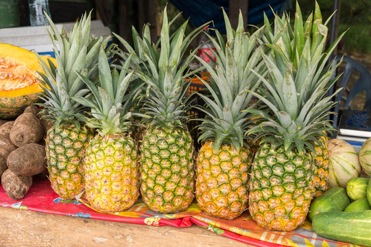 Many pineapples for sale at the local market in Martinique