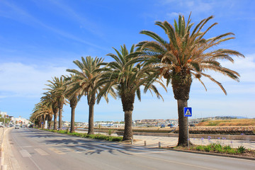 Palm trees near empty street and embankment in touristic european small town. Summer sunny day scene with no people, tropical vacation, holidays, travel tourism empty background copy space wallpaper.