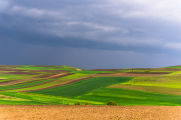 Fototapeta premium Spring landscape