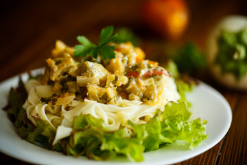 Boiled home-made noodles with gravy from eggplant