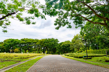 Landscape with jogging track at green park and no people